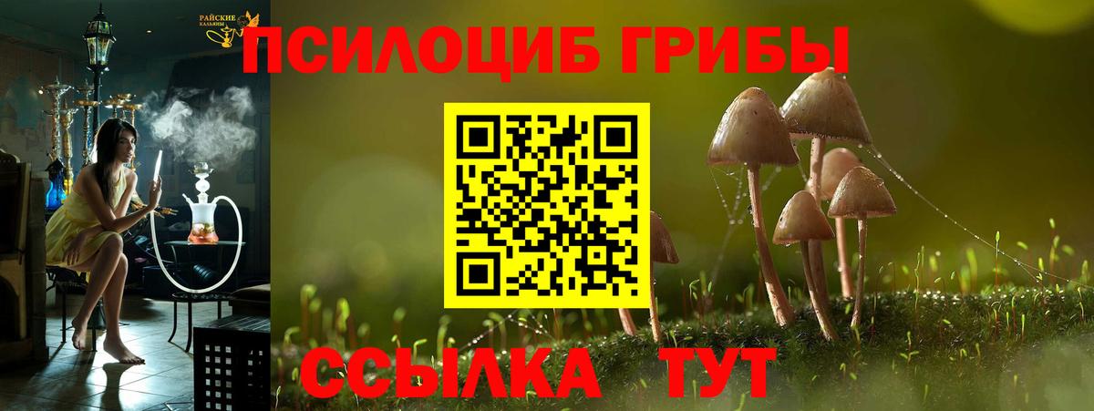 Псилоцибиновые грибы ЛСД  Вход с VPN  Галлюциногенные грибы Cubensis  Горячий Ключ 